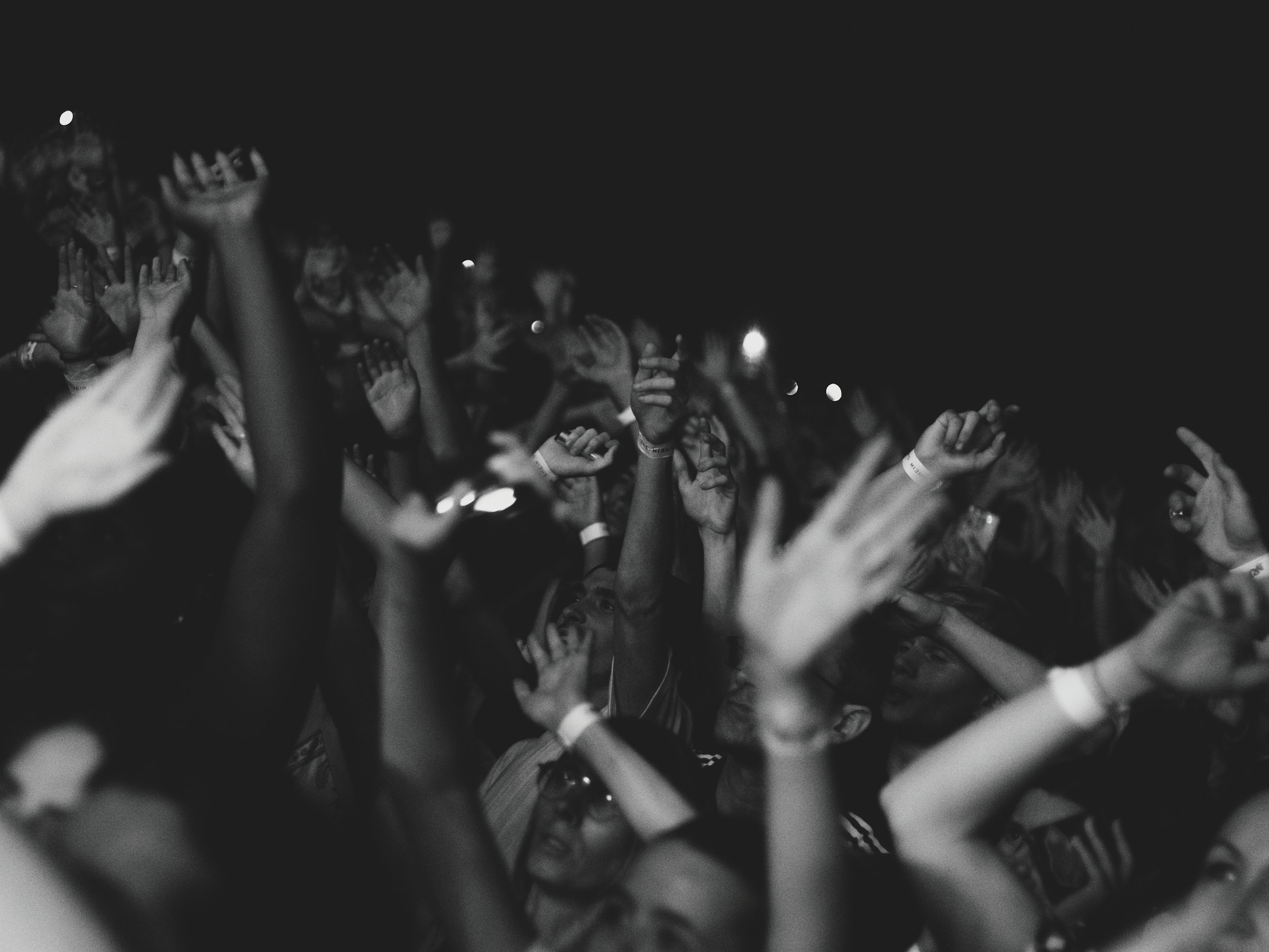 Audience at a live concert